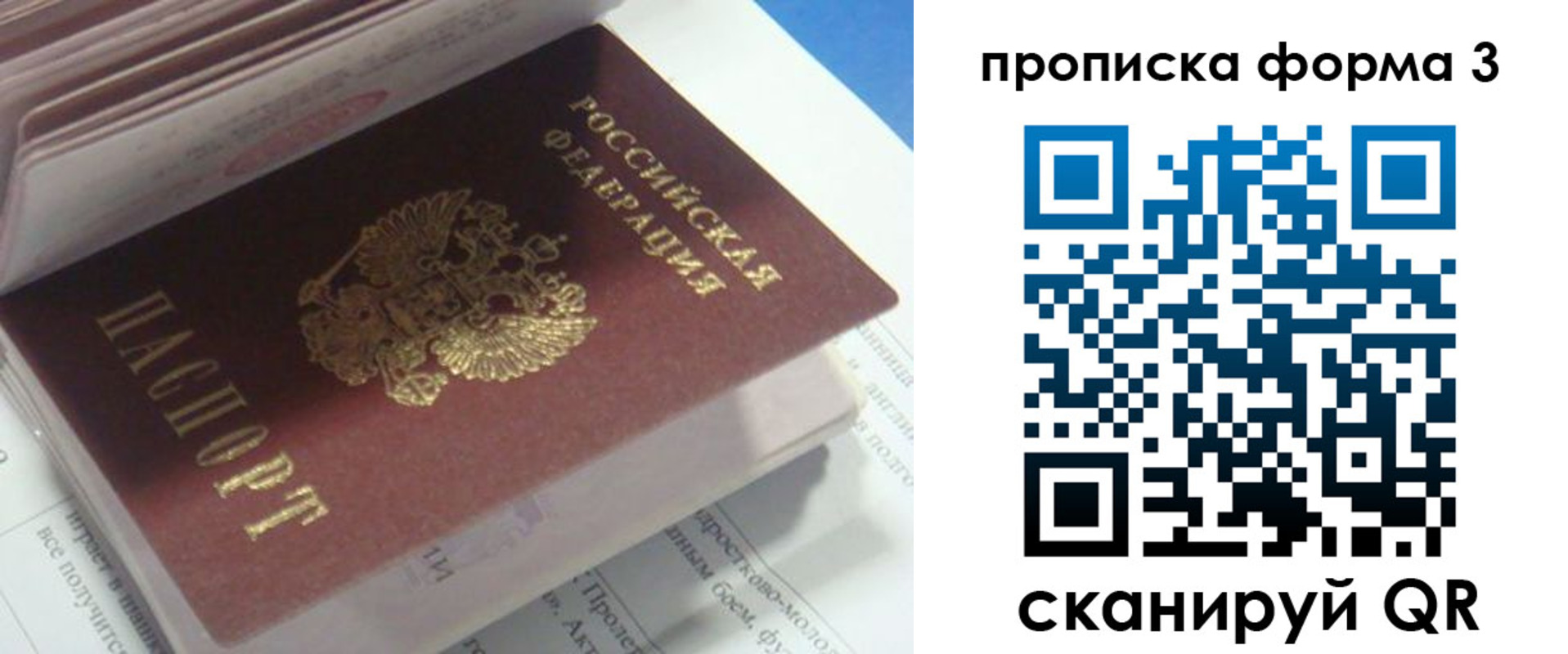 временная регистрация поиск в Королёве